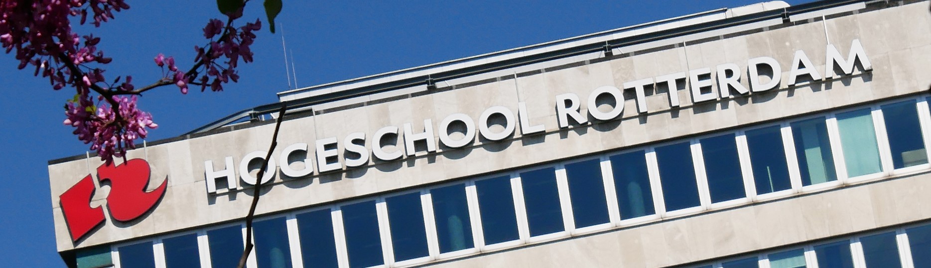 Hogeschool Rotterdam wederom de beste van de grote randstadhogescholen