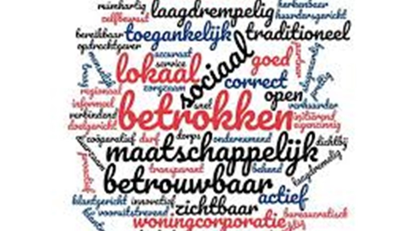 Woordwolk Wijkteam Maassluis