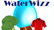 WaterWizz