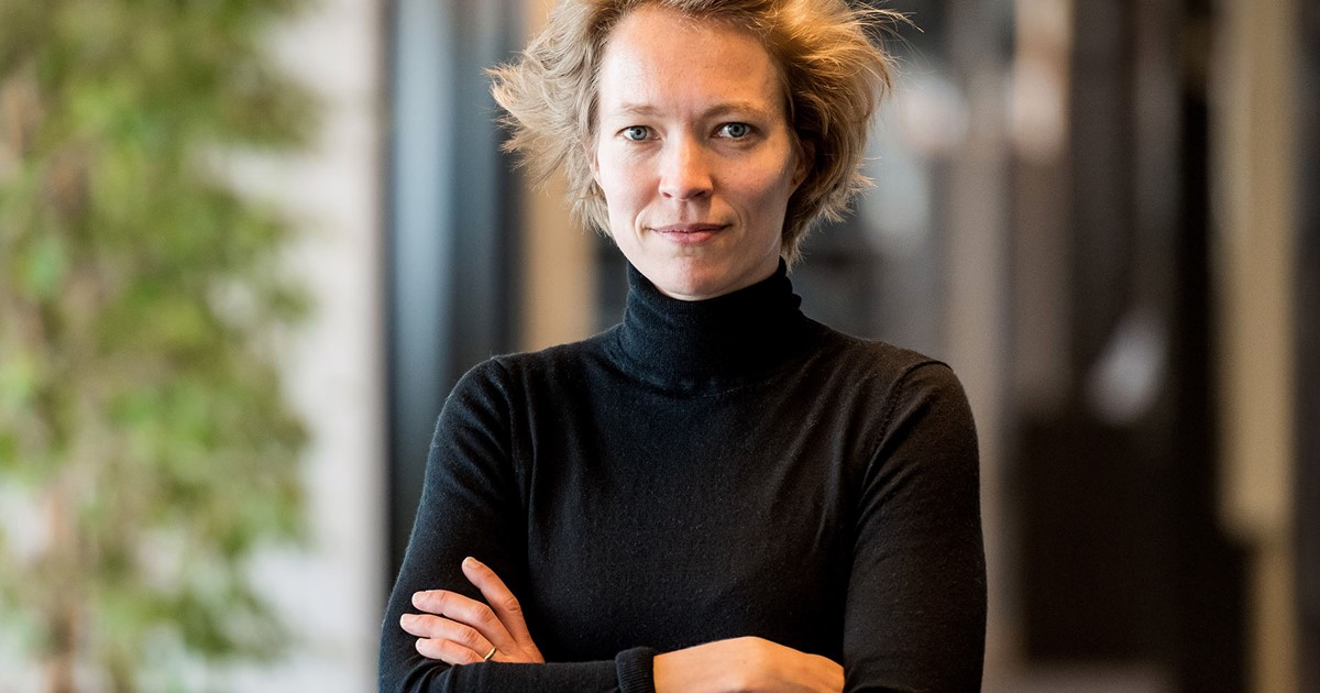 Veldkamp Msc, Dr. Ted Hogeschool Rotterdam