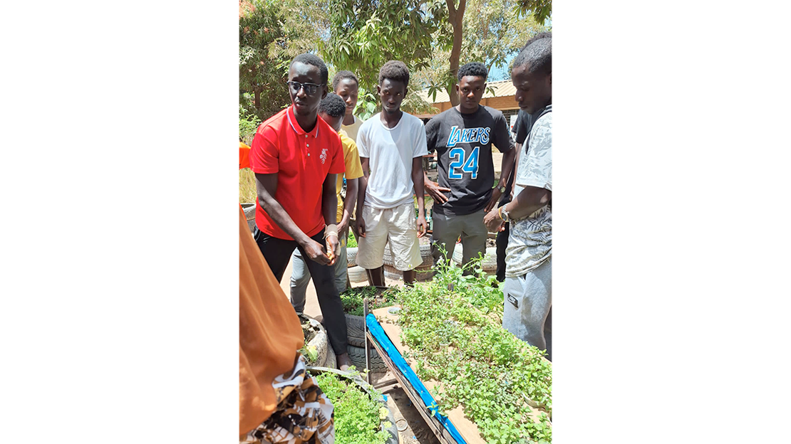 Research into medicinal properties of plants