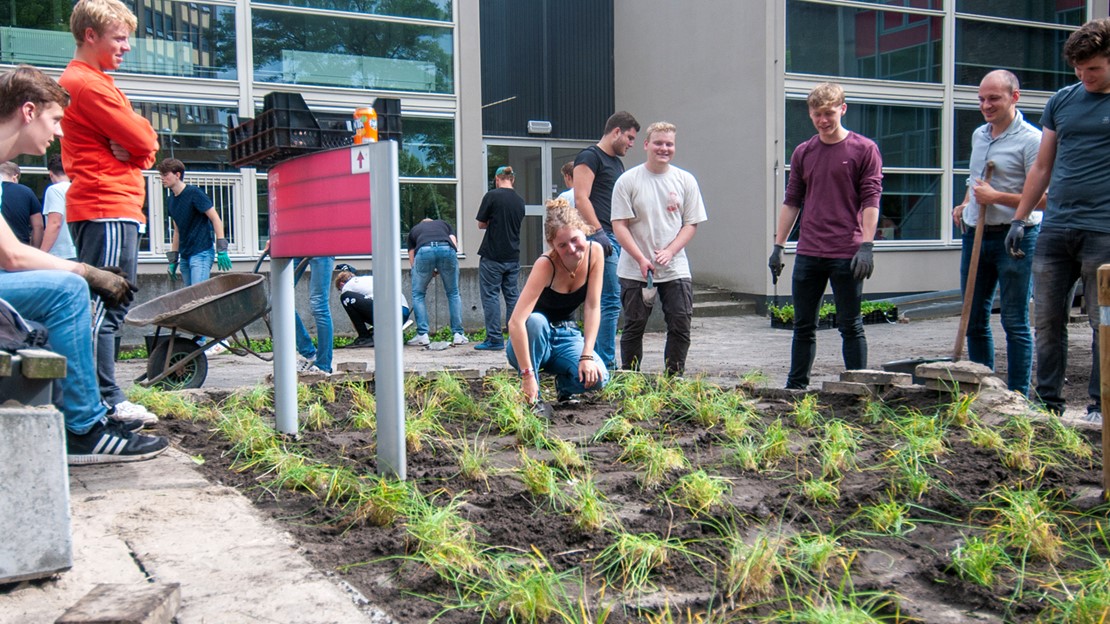 Planten erin
